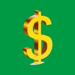 VIP Customized Link for Diy3 Service